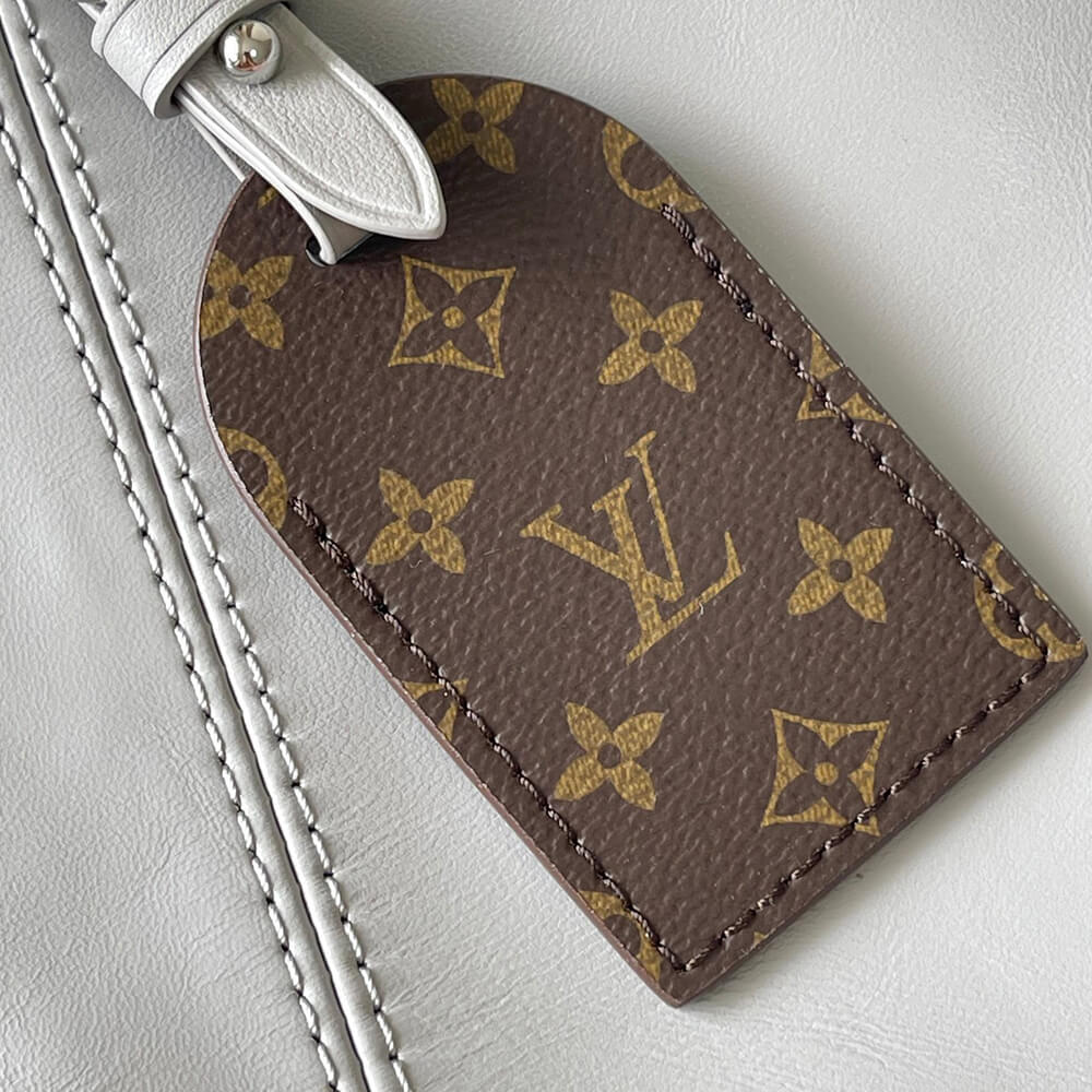 LV  CarryAll Vibe MM Bag