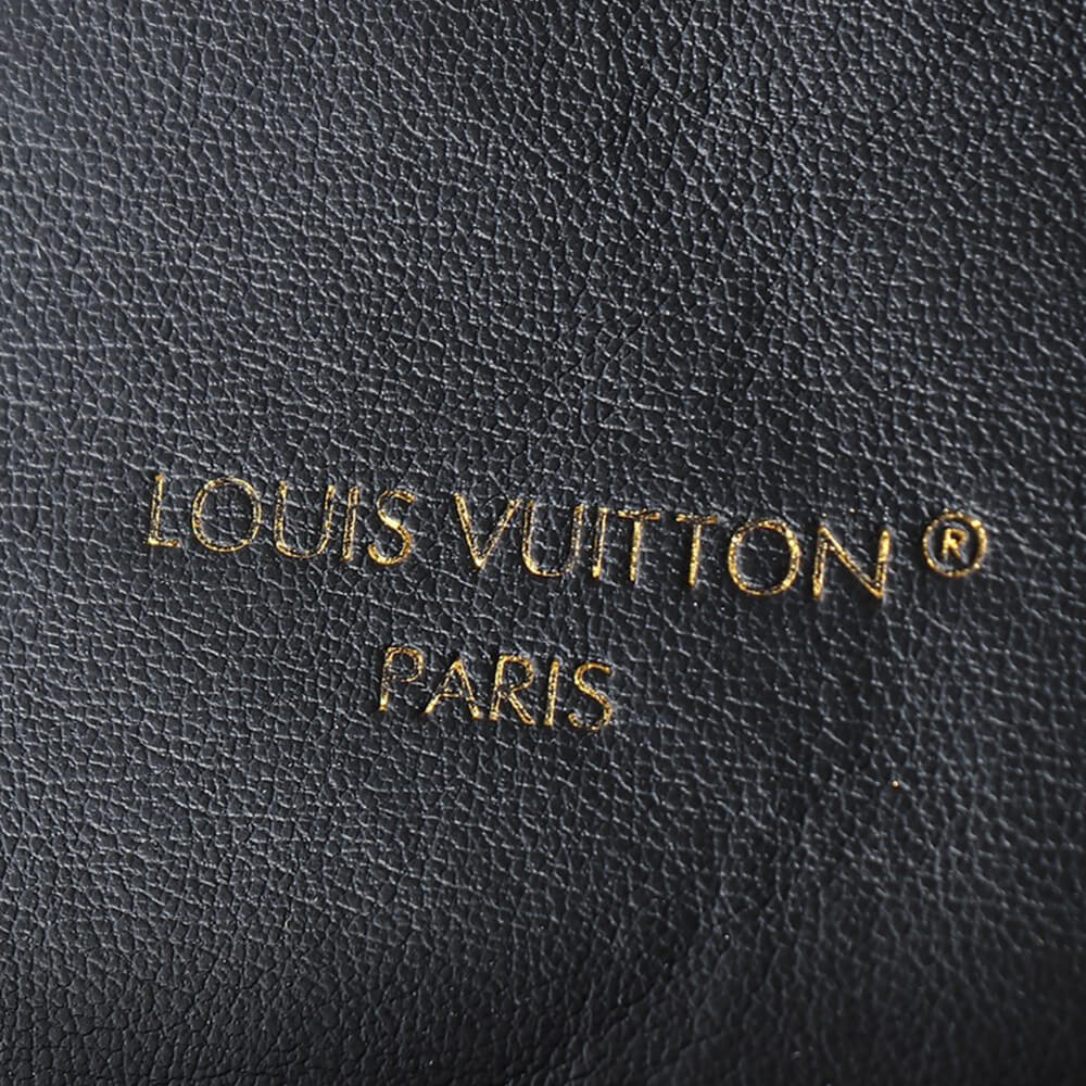 LV  Coussin PM Backpack